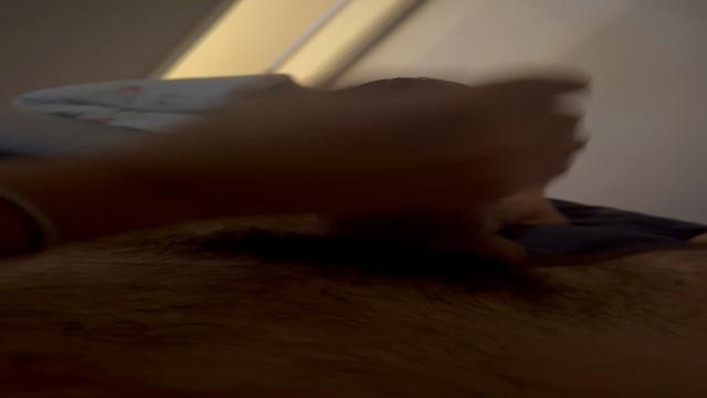 Coelhinho e a cenourada!