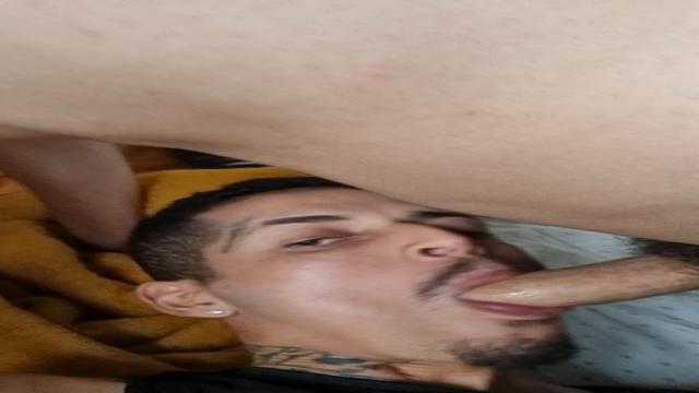 Brinquedo pentelhudo