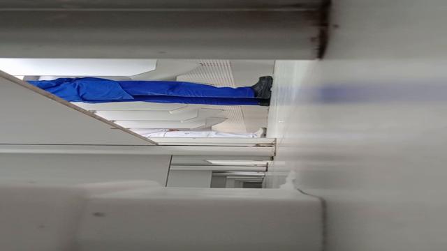 Vamos observar os boys 