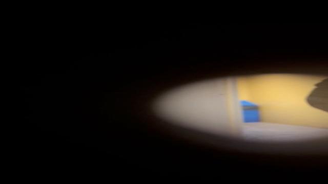 Spy