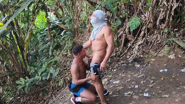 na trilha do ilha porchart