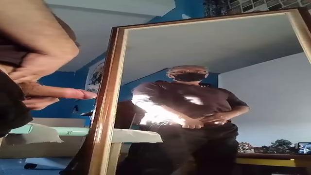 Coroa pirocudo exibindo