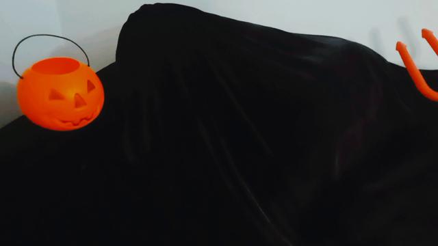 Halloween 2024