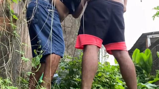 V210 O bom e velho paizão 