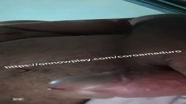 Quer leite desse maduro inédito ? E de muitos outros...