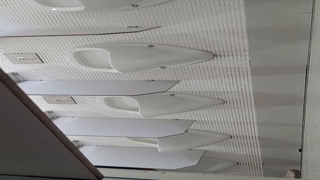 Olha tamanho do pau desse cavalão o terceiro cara ba...