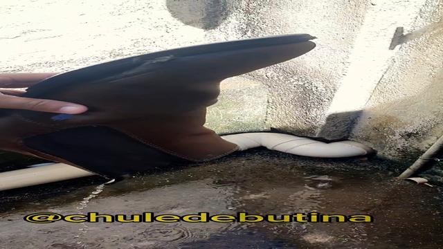 19 - Drinking foot odor water