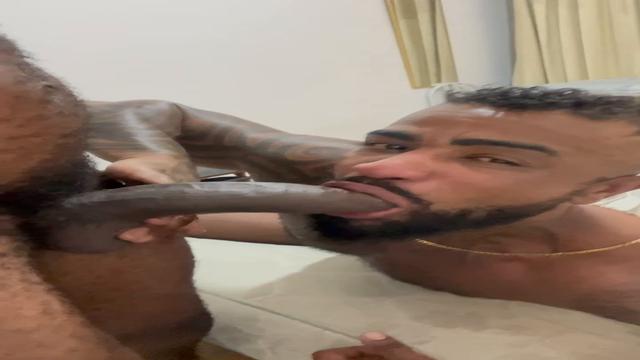 Safado  está feliz  com Geba  26cm