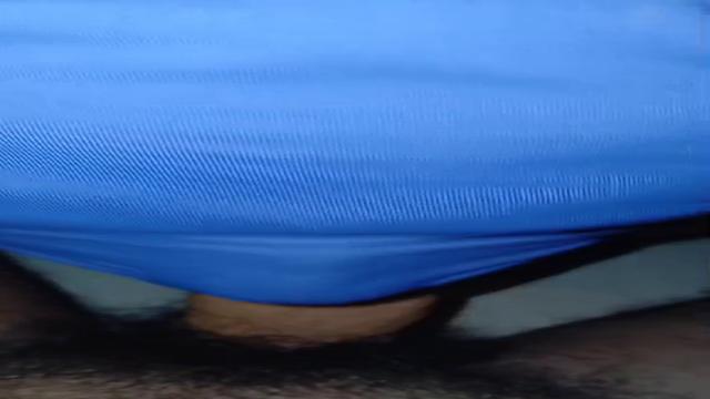 NaldoCordeiro 