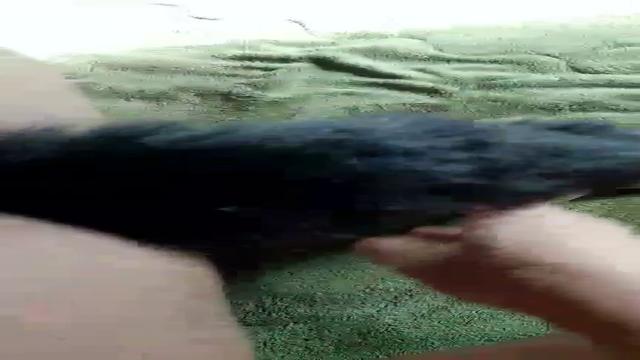 Puta lambendo pezão