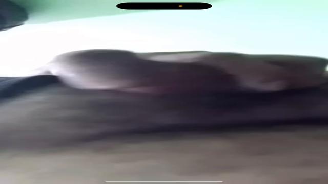 Segurança foi no banheiro gozar não aguentou de tesã...