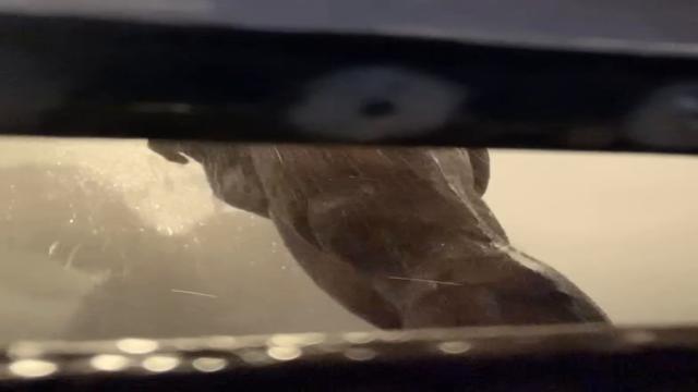 O mesmo gostoso no banho 