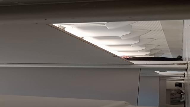 Esse cacetão desse primeiro macho 