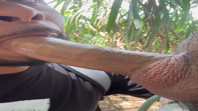 Mamei gostoso a pica do casado na trilha 