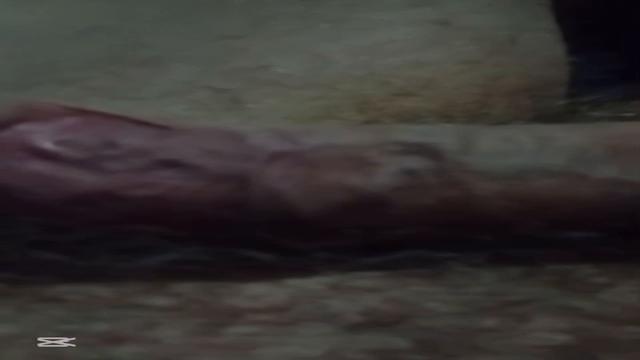 Vários coroas inéditos .. só maduro de primeira gostoso delicias de machos 