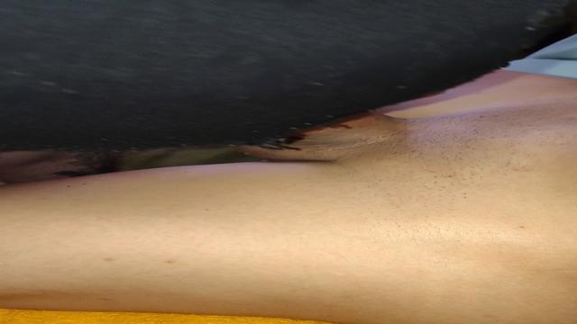 Novinho usando a minha cadela 