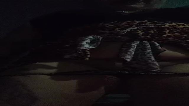 Grande live com a fenix (maria fagundes de Barão)