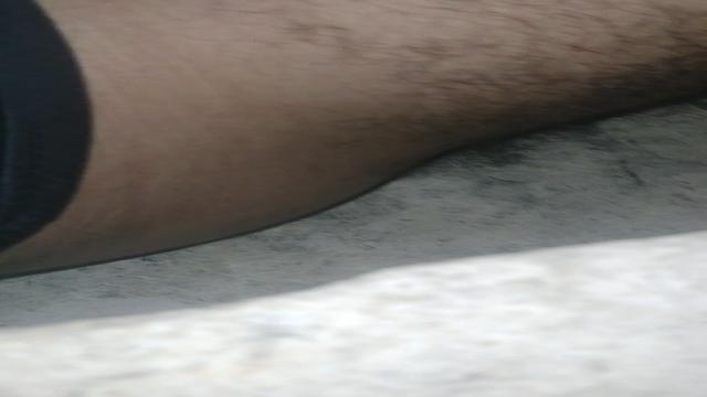 Seguidor 