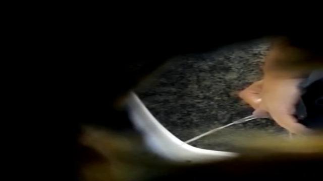 PISSING #361