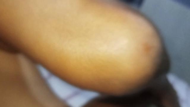 Tome pika