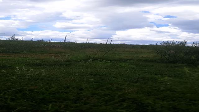 Coloquei a esposa pra me chupar em público 