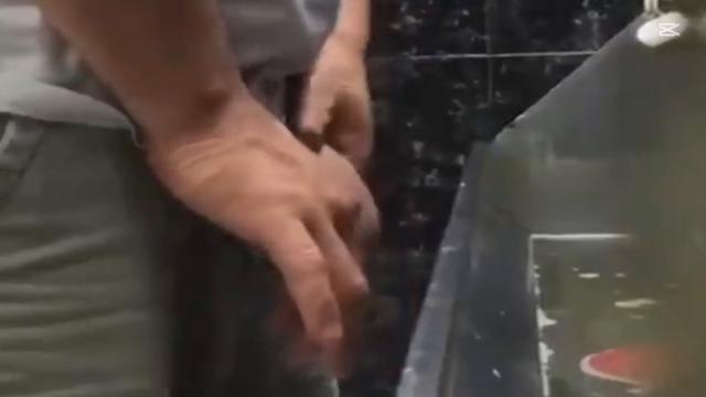 Flagras de machos Mijando em banheiro Pubiico