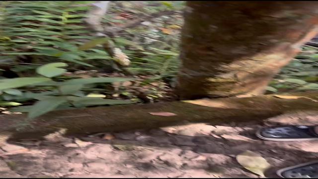 Fodão na cachoeira gozei no final gostosim
