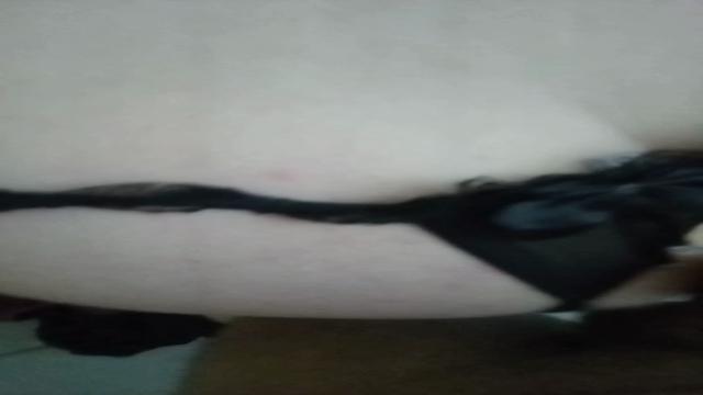 Noia do Pq Dom Pedro