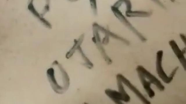 Surra na cadela de cinto