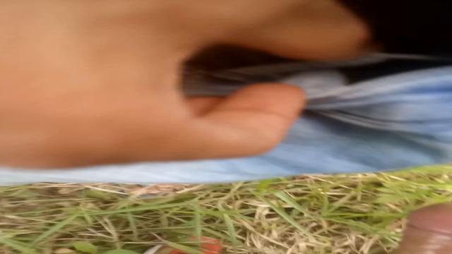 Tomando mijo de um mlk que encontrei andando no parque