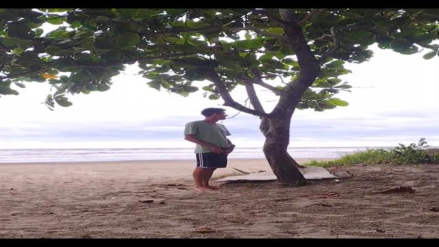 Dotado mijando na praia 