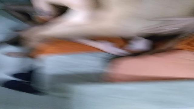 SURUBA EM CASA ( Últimas Edições) 