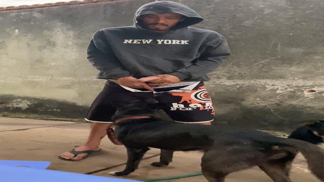Esse Gambiarra e a Pantera sao demais.