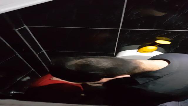 Flagrei essa mamada no bar no carnaval 