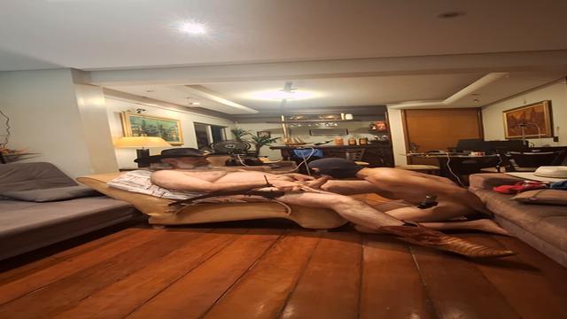 POTRANCA FÃ DO CAVALÃO REALIZAR SONHO DE MAMAR MEU P...