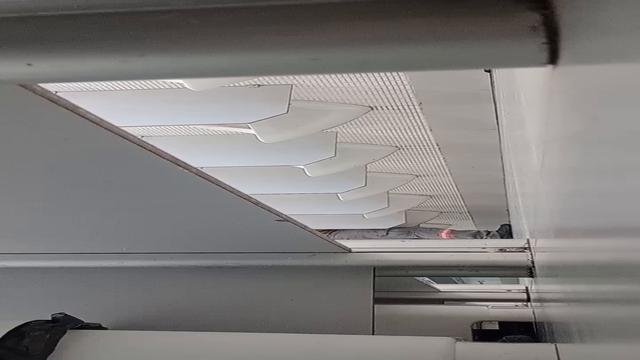 Amo observar todos os dias 