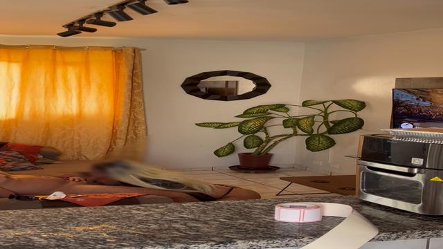 Flagrante com Chaveiro do Bairro 