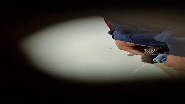 Spy