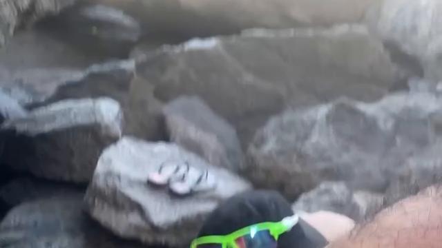 Bitch bear asked for weed smoke up his ass