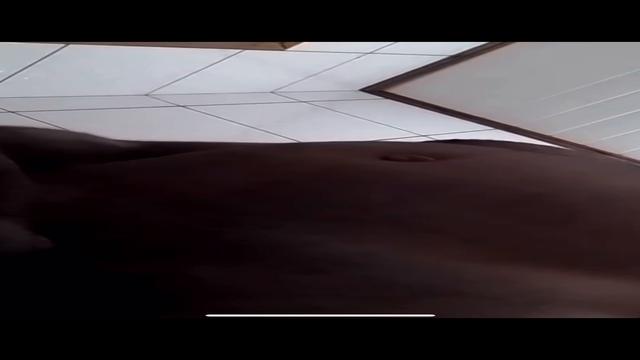 Veja esse vídeo e 700 outros mais vídeos longos inéd...