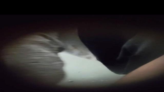 Spy