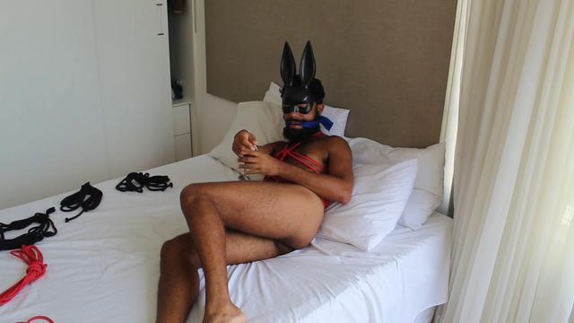 COELHINHO CAIU NA PRÓPRIA ARMADILHA (SET 1)