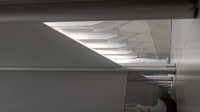 Gostoso observar eles 