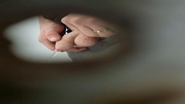 Spy