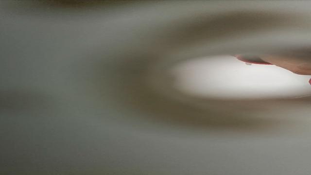 Spy