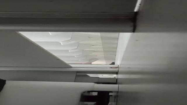 Não canso de ver esses machos 