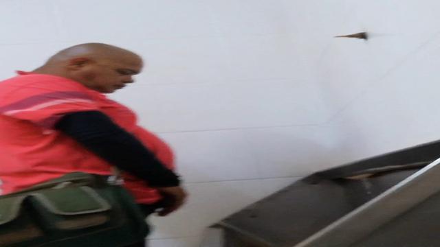 PISSING #257
