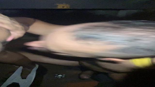COM URSO DOTADO NAS CABINES