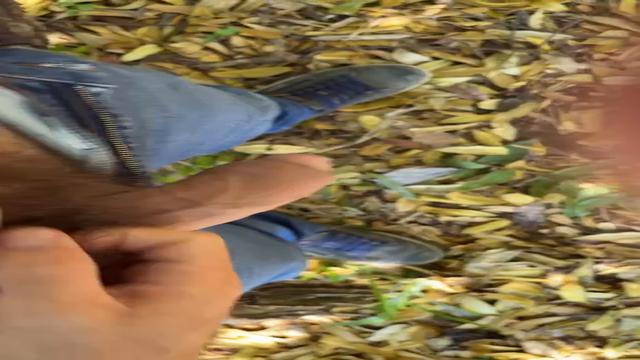 Explicando como foi uma mamada perfeita que ja ganhe...