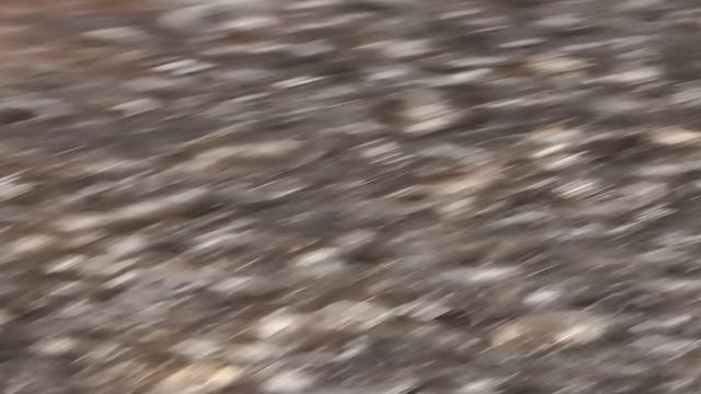 visiting childhood friend